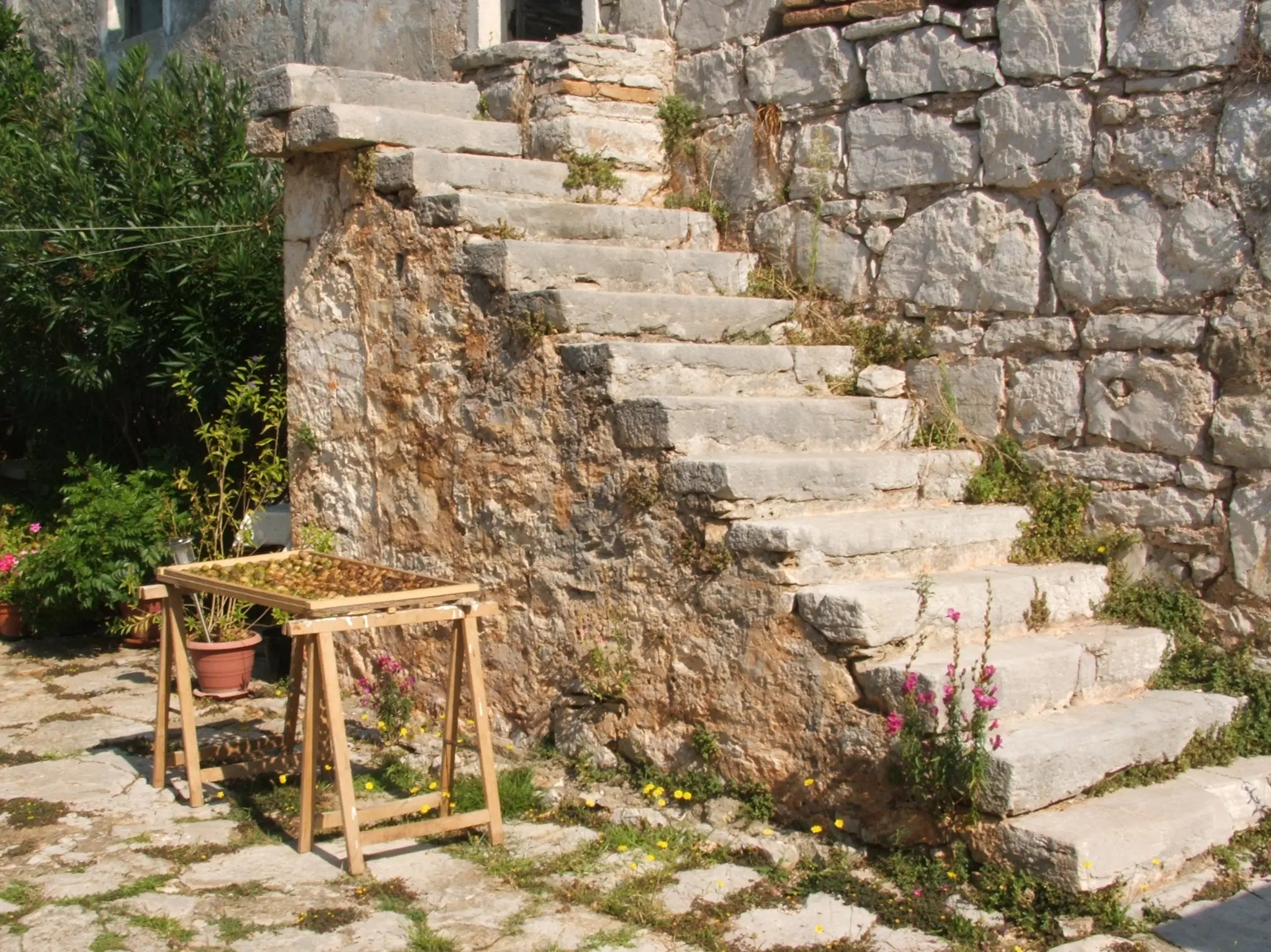 Fanfogna roads cover