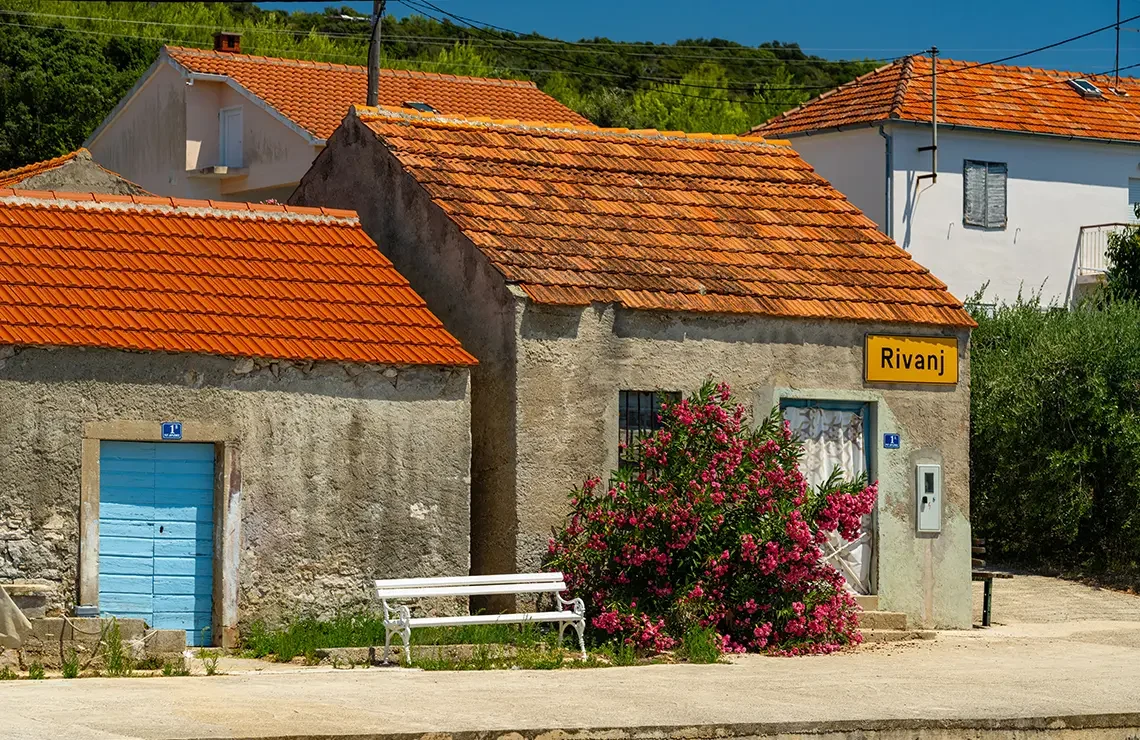 Rivanj 7