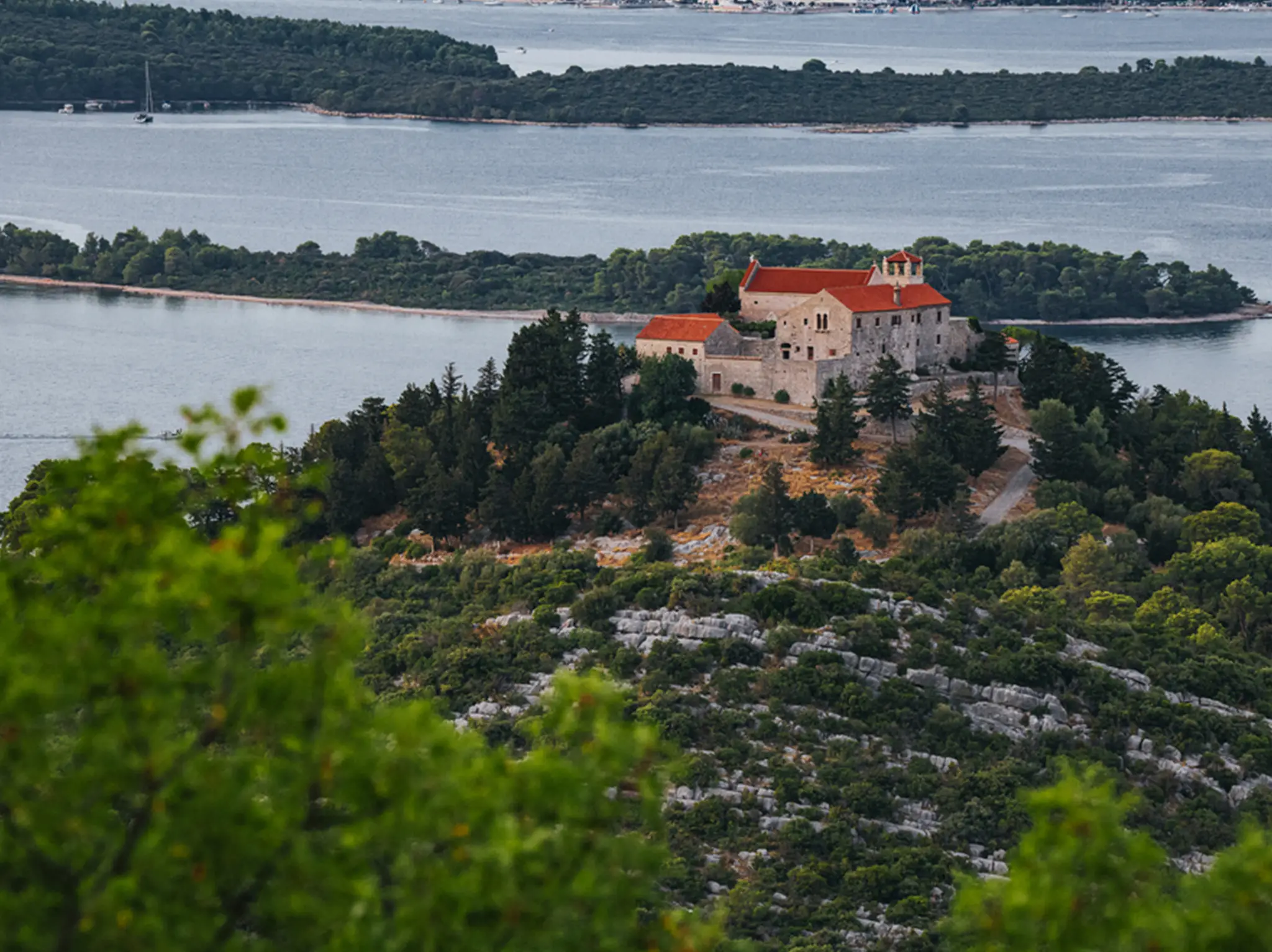 Franciscans benedictines cover