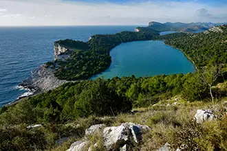 Telascica